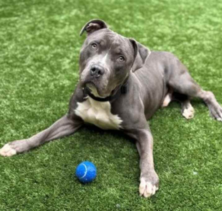 Photo of URGENT! Save Me Please