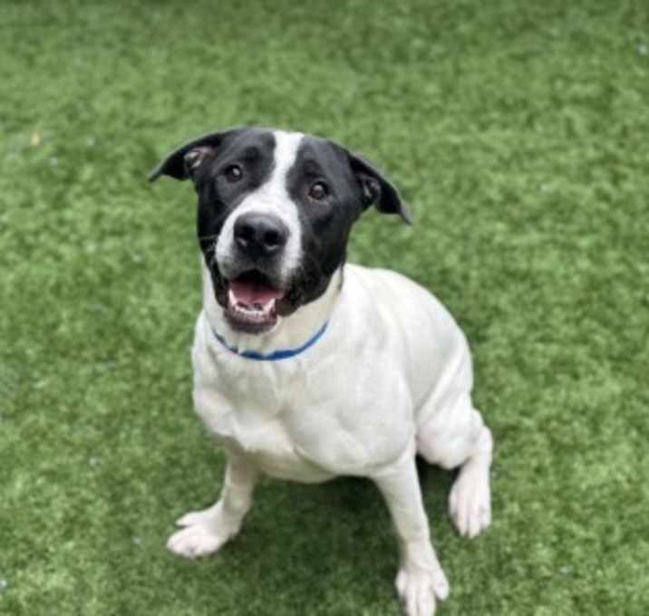 Photo of URGENT! Save Me Please