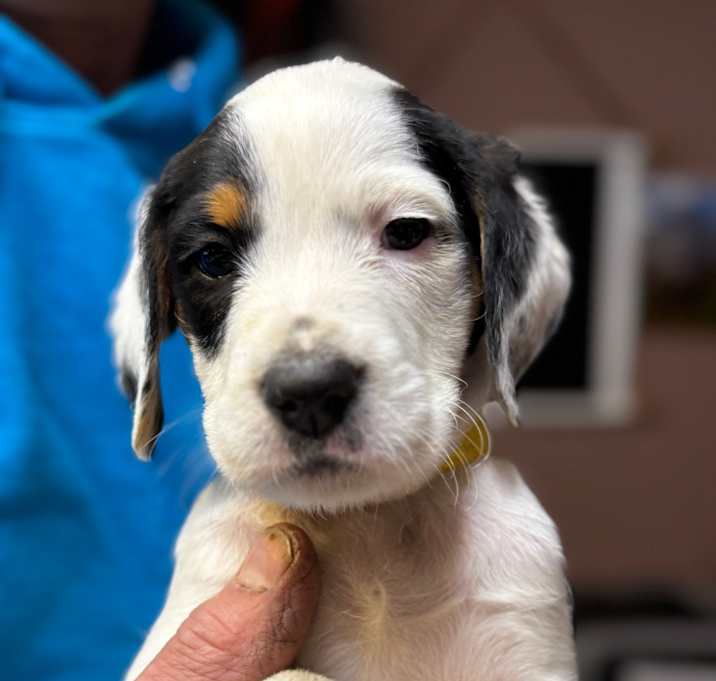 Photo of NY Summit Dec 20 Tractor Sup