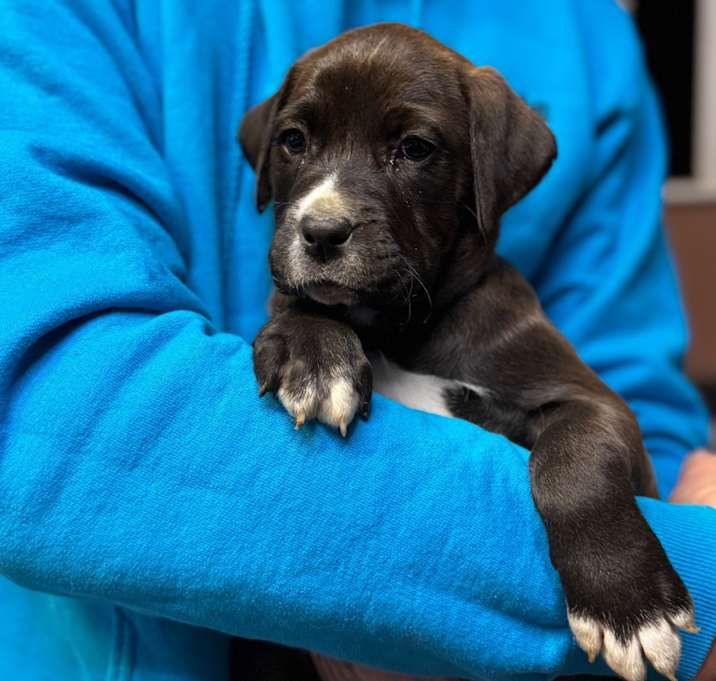 Photo of NY Scout Dec 20 Tractor Sup