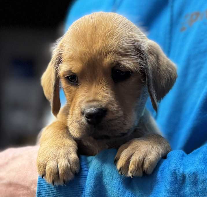 Photo of NY River Dec 20 Tractor Sup