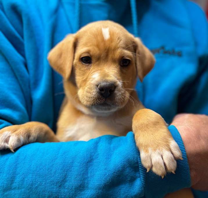 Photo of NY Finn Dec 20 Tractor Sup