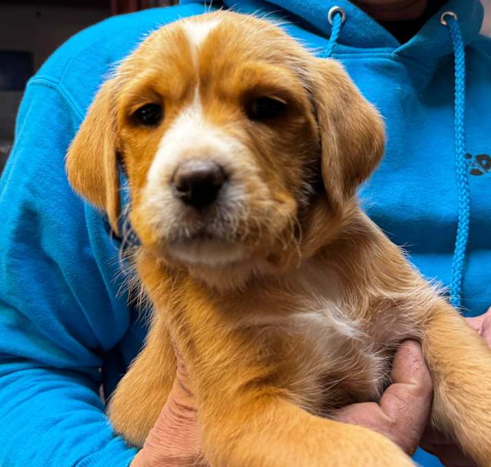 Photo of NY Chase Dec 20 Tractor Sup