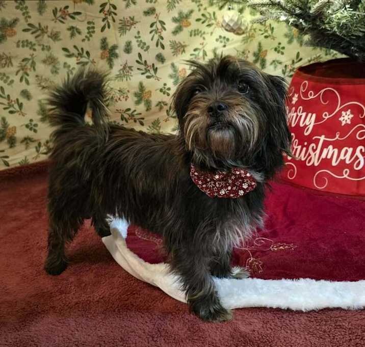 Photo of Michelle aka Shelly