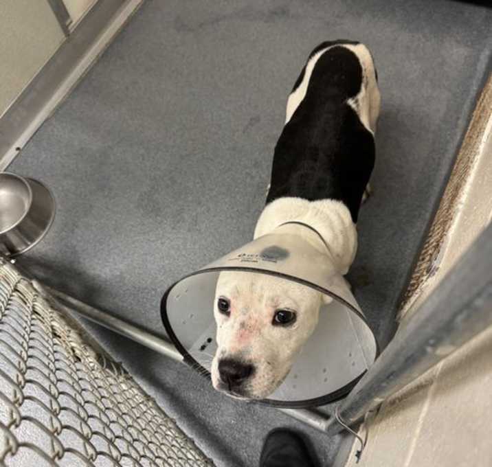 Photo of PR 58 Krypto