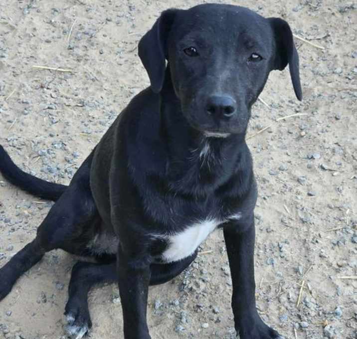 Photo of Sue Ashcraft