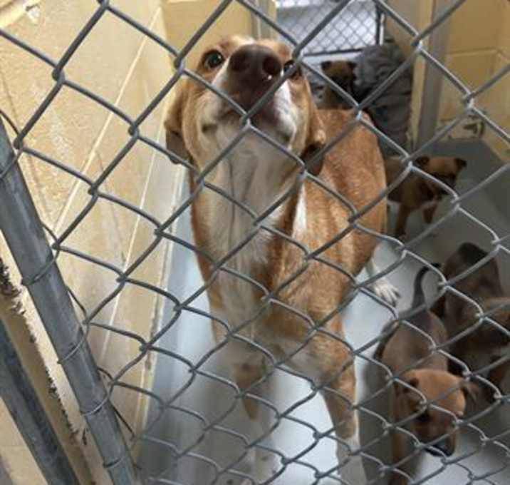 Photo of HOLLY BERRY