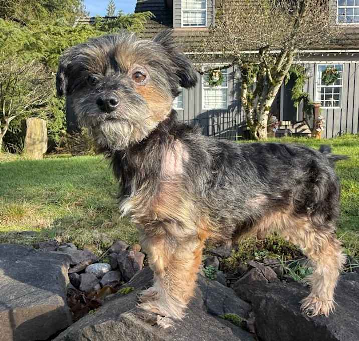 Photo of Monty the Magnificent!