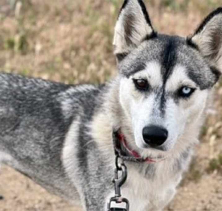 Photo of Lucy / Carly