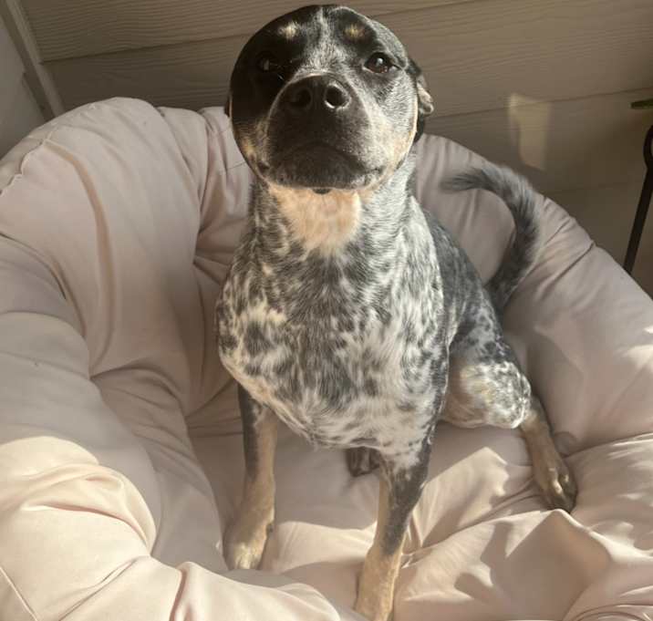 Photo of Burning Embers