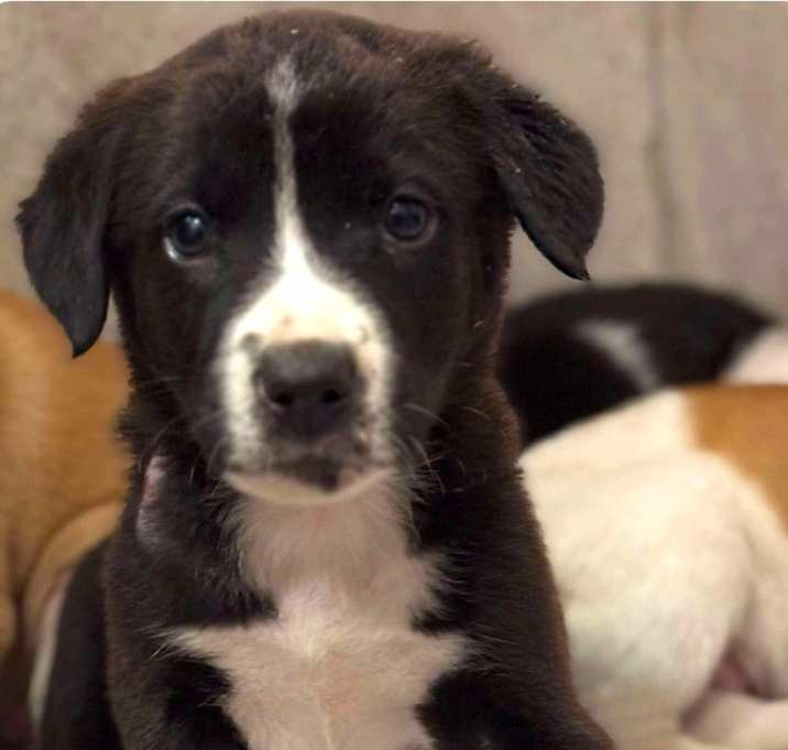 Photo of Jacob meet me 12/20