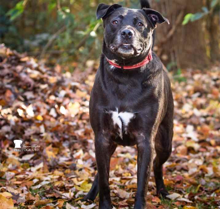 Photo of Jack Charles