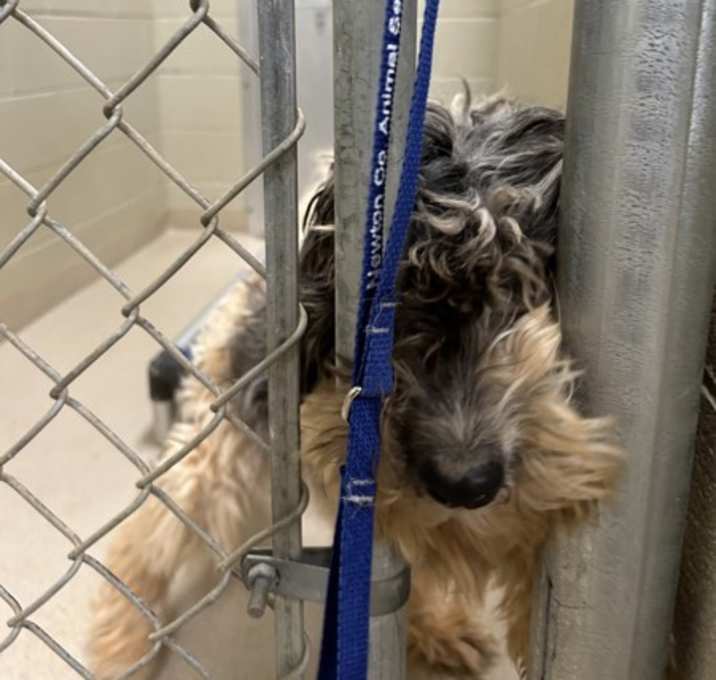 Photo of 23010- Taylor