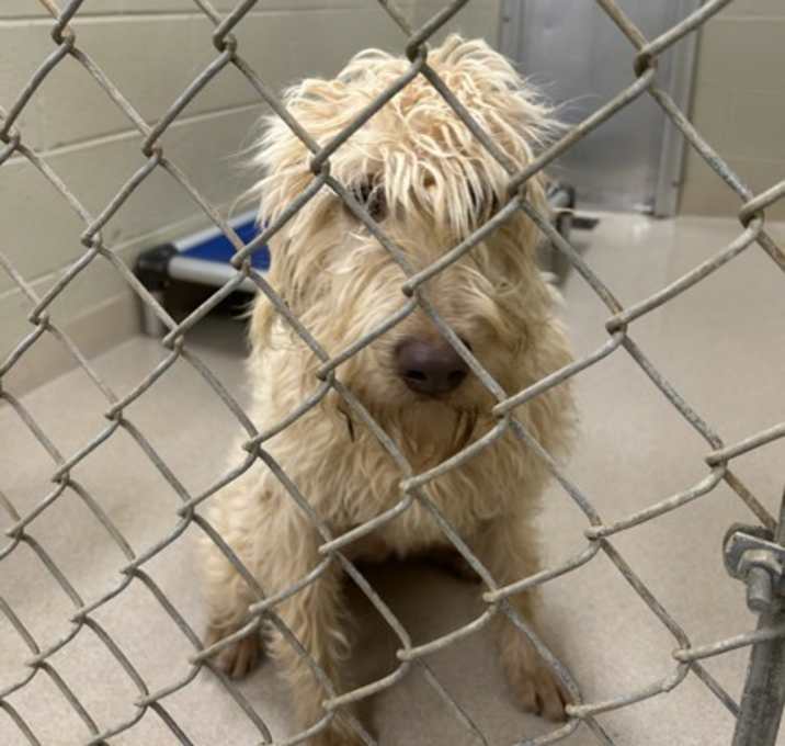 Photo of 23009- Sabrina