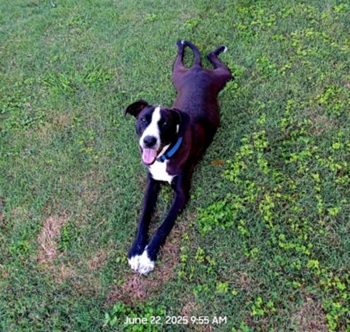 Photo of BUSTER BROWN