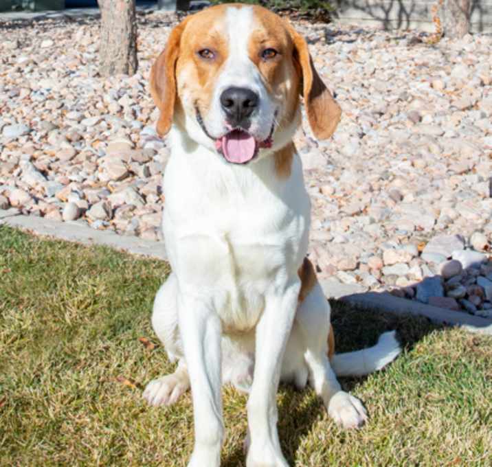 Photo of 91741 Forest