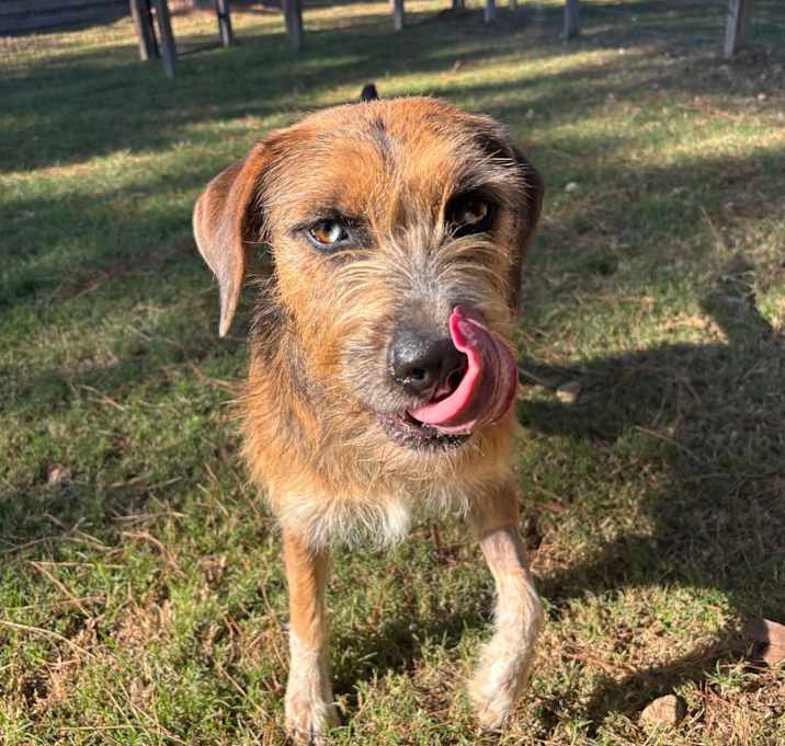 Photo of Blythe Blue