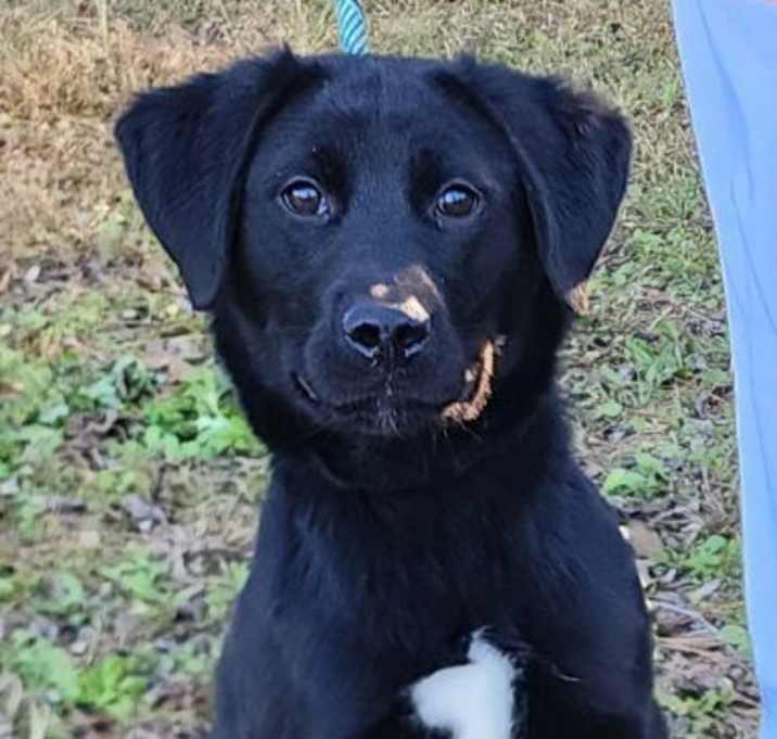 Photo of 251807  Roxy