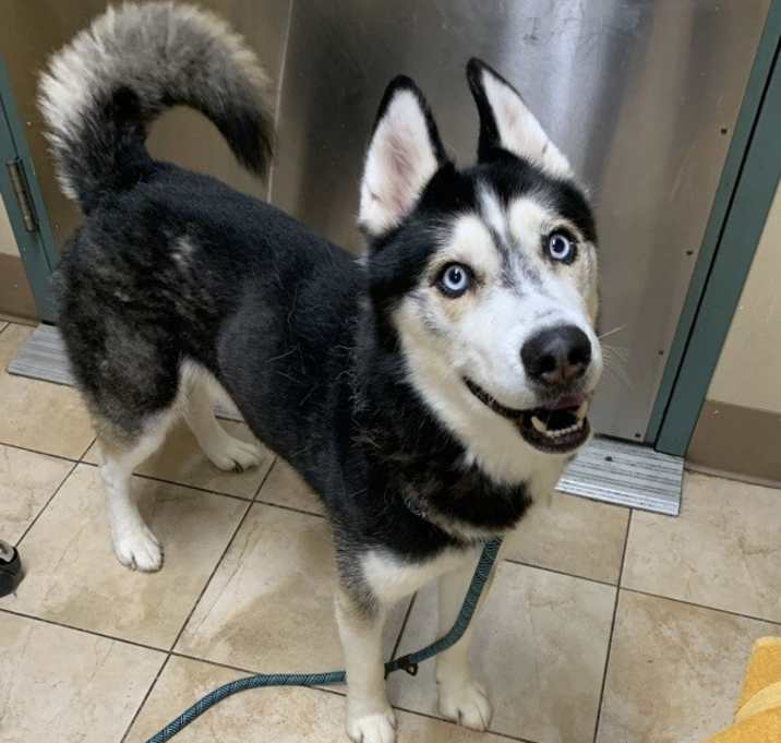 Photo of Kane (mcas)