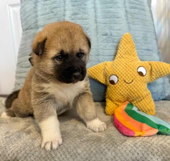 Photo of Austin Travel