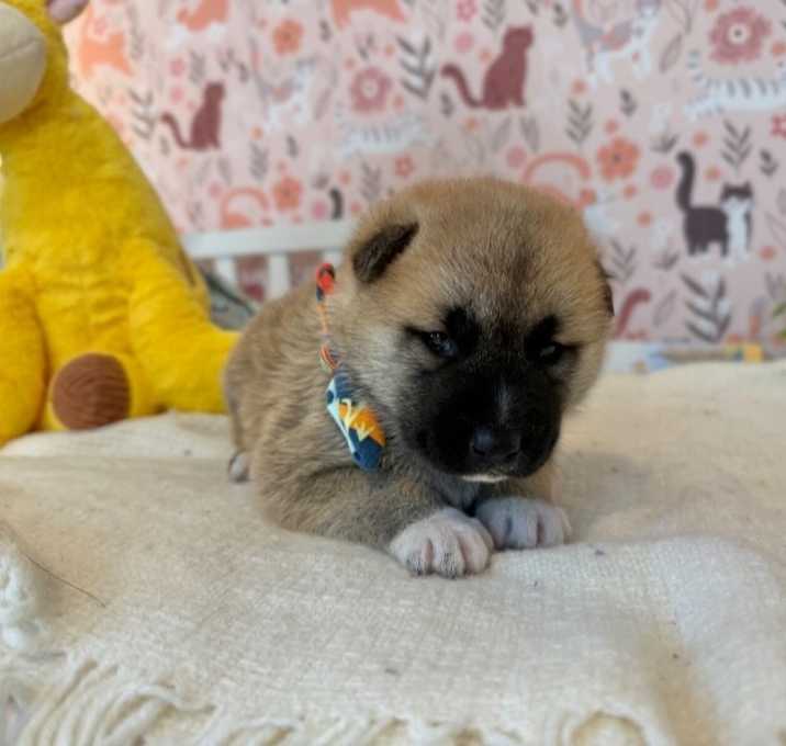 Photo of Nashville Travel