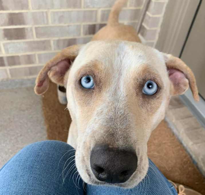 Photo of Florence (Flora)