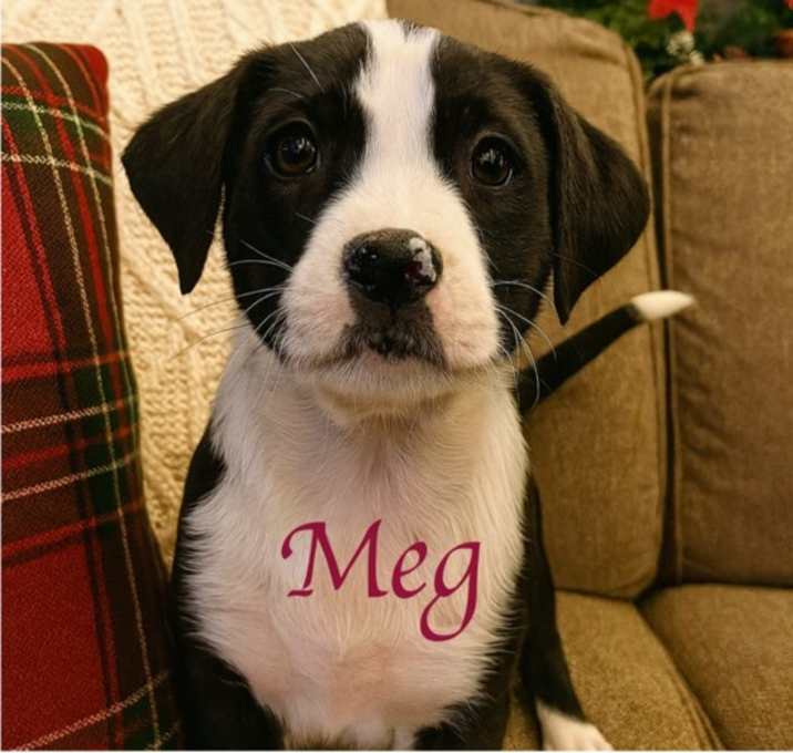 Photo of Meg