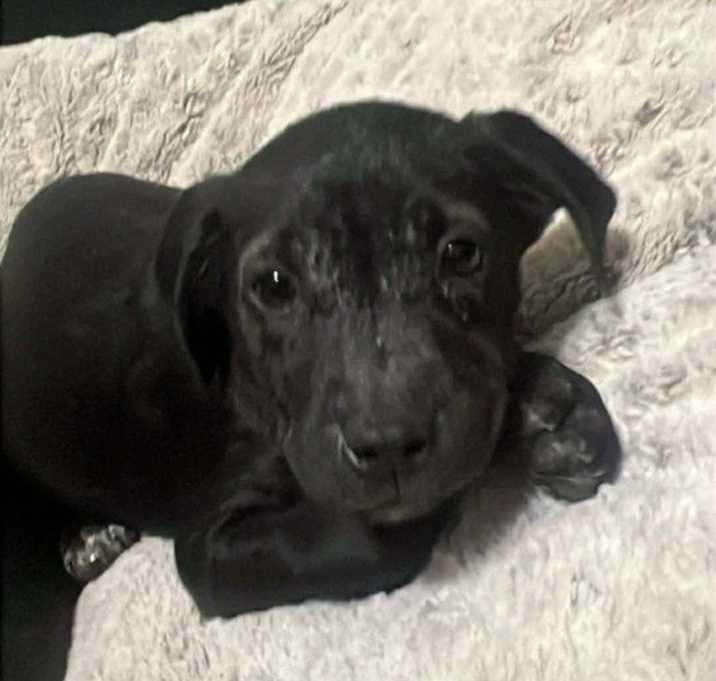 Photo of Miami aka Mimi