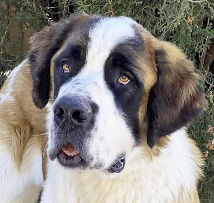 Photo of Sensational Saint Uno = WOW !!!