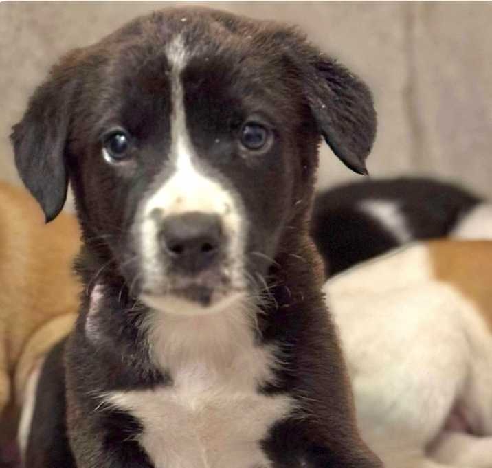 Photo of Jacob meet me 12/20