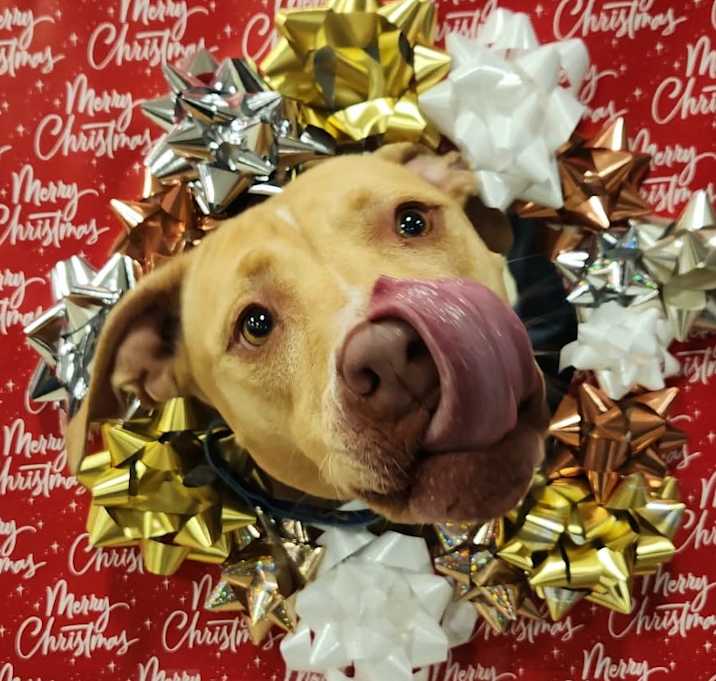 Photo of Smillie JUM