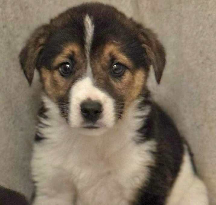 Photo of Jarvis meet me 12/20