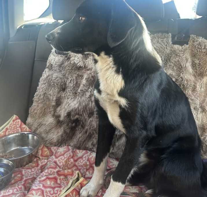 Photo of Richie Rich