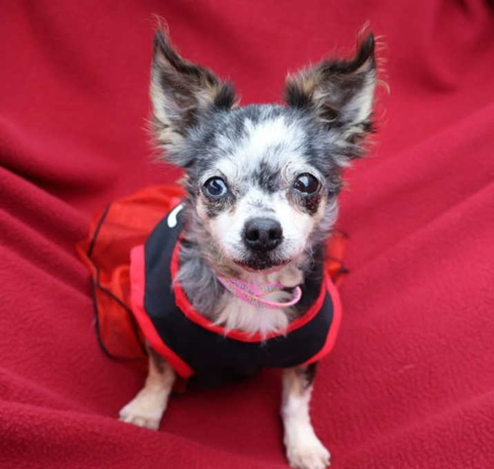 Photo of Novalee Athens