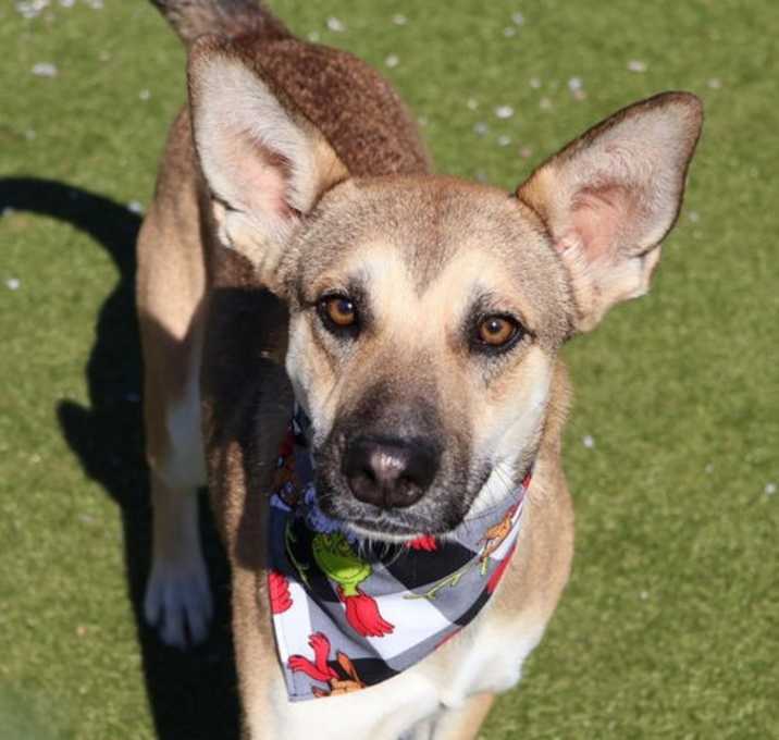 Photo of Matilda Athens