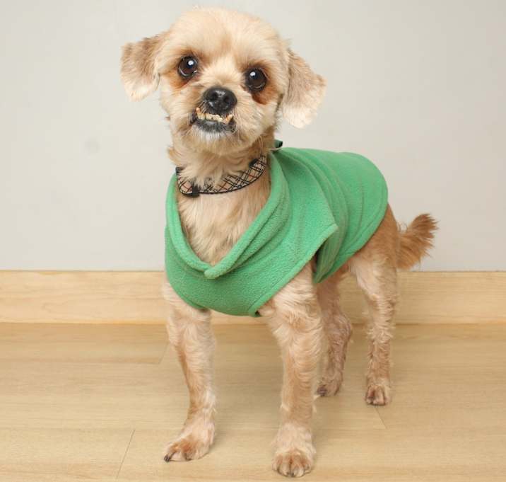 Photo of Oscar D67353