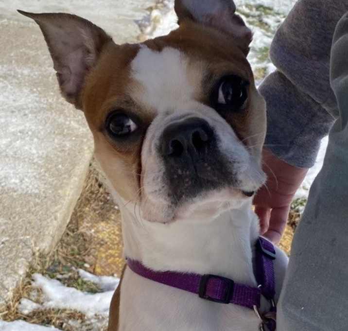 Photo of Ducky Doolittle KY4824