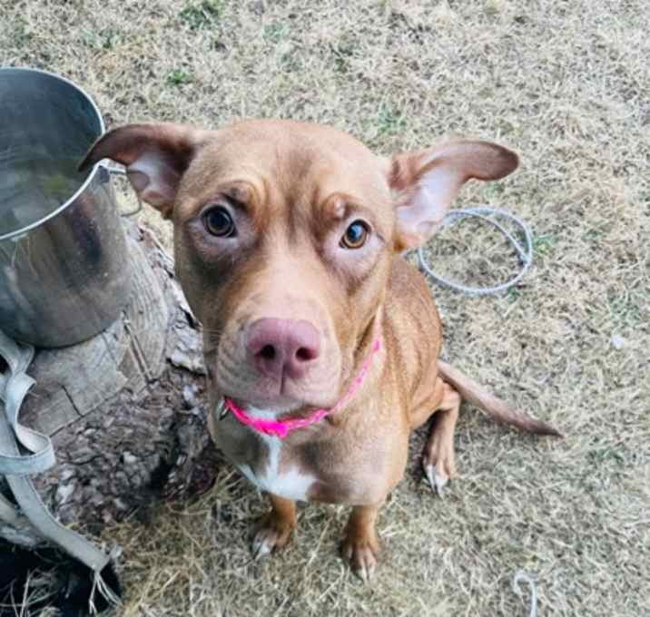 Photo of Telly Marketer