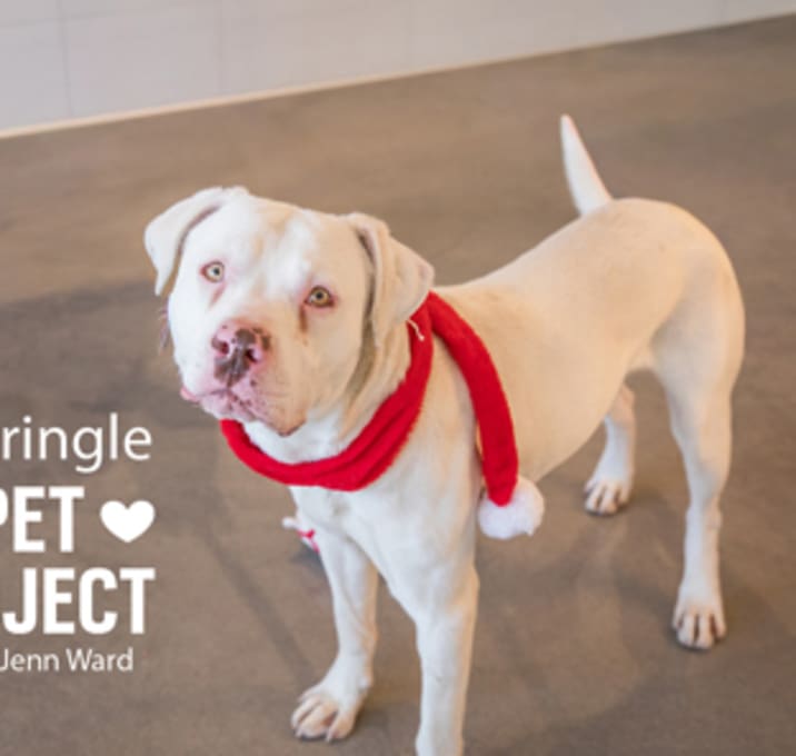 Photo of Kris Kringle