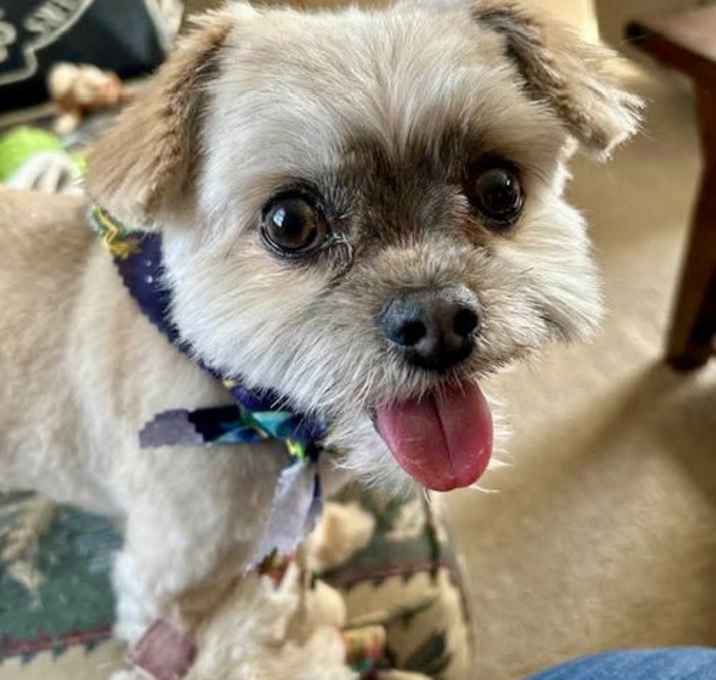 Photo of Charlie Bean