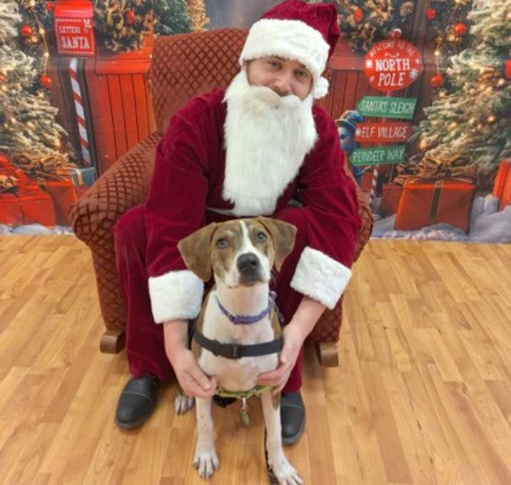 Photo of 90077a Sansui