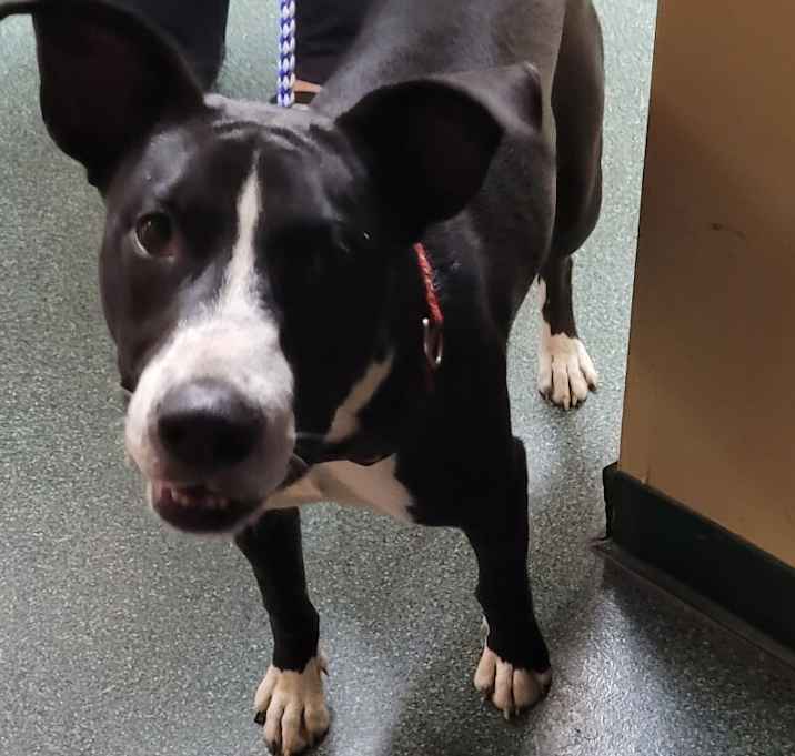 Photo of 092327 - Kennedy