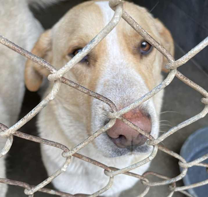 Photo of 042420 - Batman