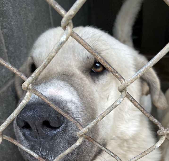 Photo of 042421 - Robin