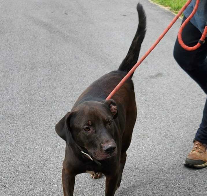 Photo of 052464 - Diesel