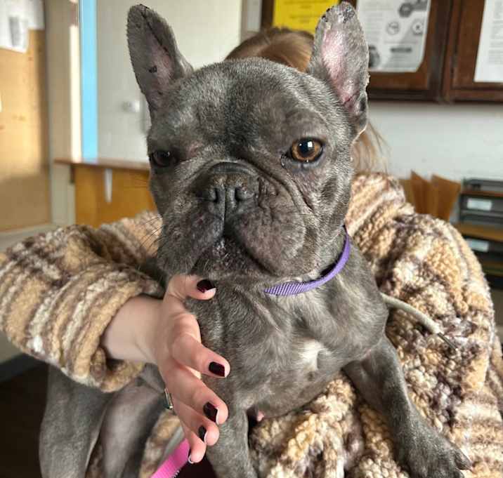 Photo of Onyx Rae fka Gloria