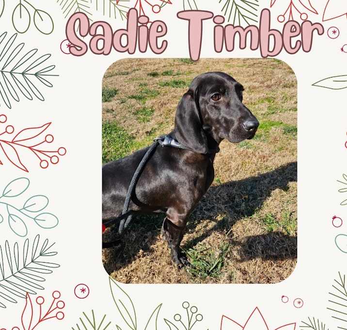 Photo of Sadie Timber