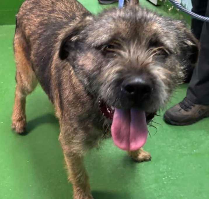 Photo of Jackson - At shelter