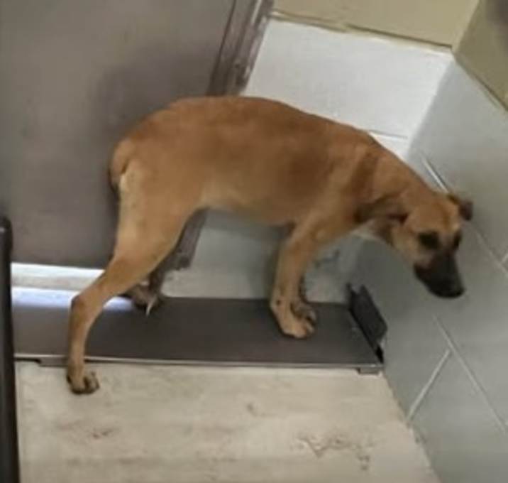 Photo of Aqua 25-12-029