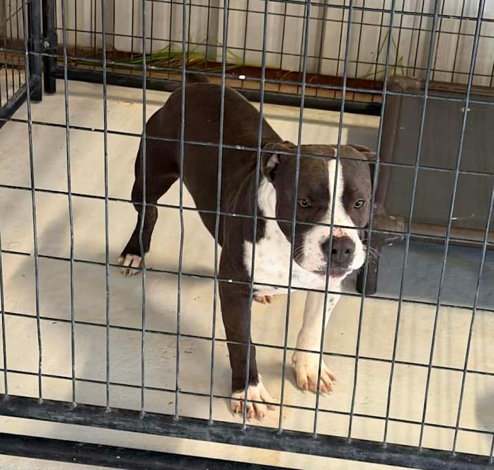 Photo of Berry 25-12-042